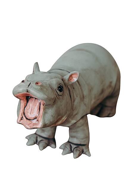 Hipopotam Pigmejski, 2025