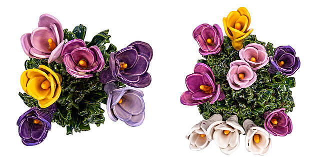 Krokusy małe I, 2026