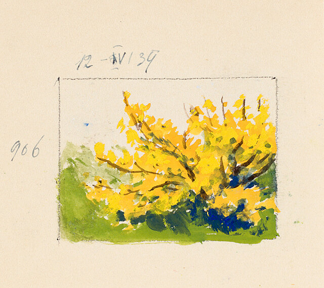 Kwitnący krzew, 1939