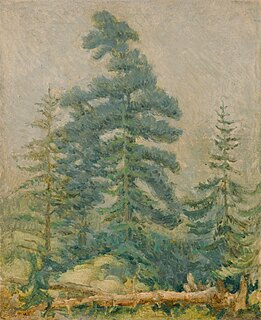 Pejzaż z drzewami iglastymi