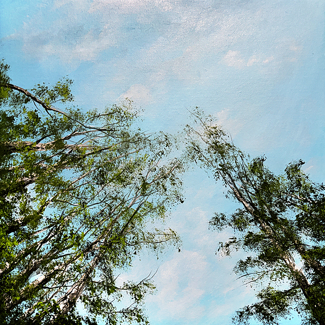 To samo niebo III, 2025