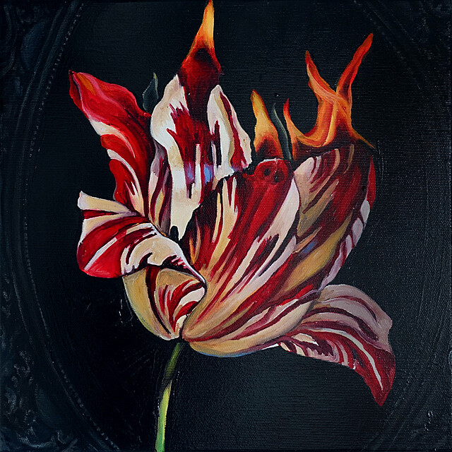 Płonący tulipan, 2024