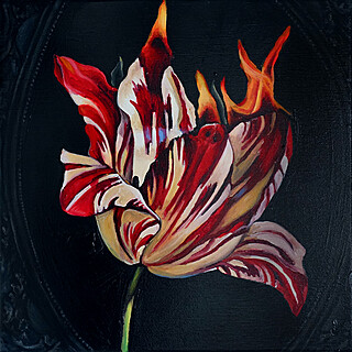 Płonący tulipan, 2024