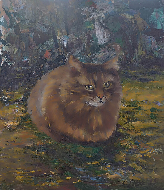 Kot przy lesie, 2025