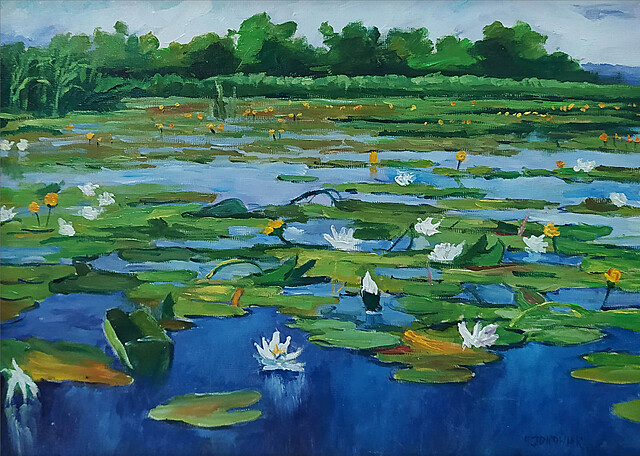 Dzikie jezioro, 2008