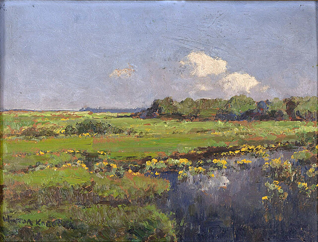 Pejzaż z kaczeńcami