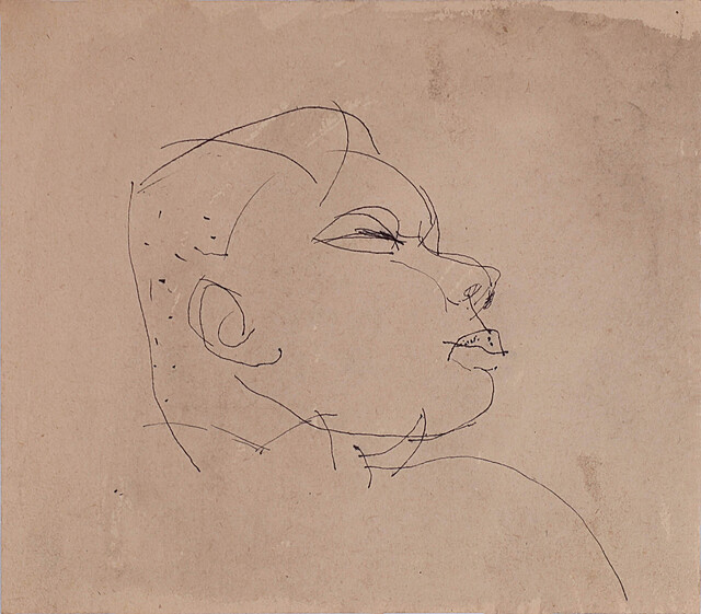 Szkic głowy, lata 50-te XX w.