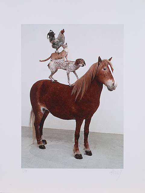 Piramida Zwierząt, 1993/2018