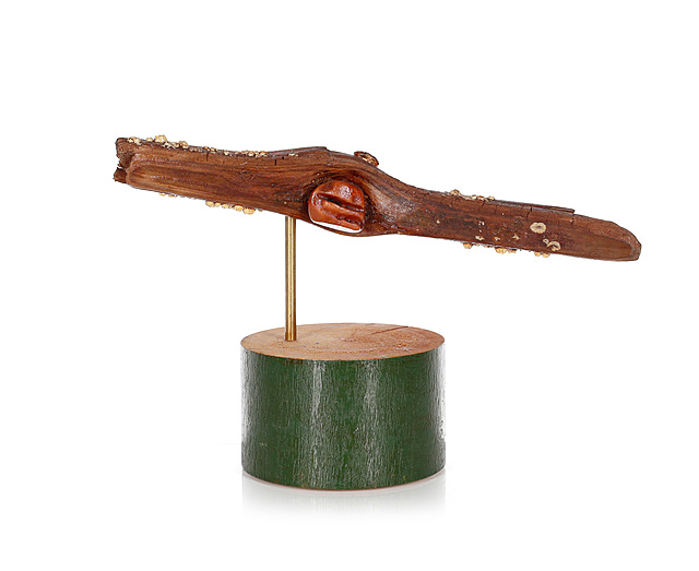 Bursztyn Bałtyku, 2015