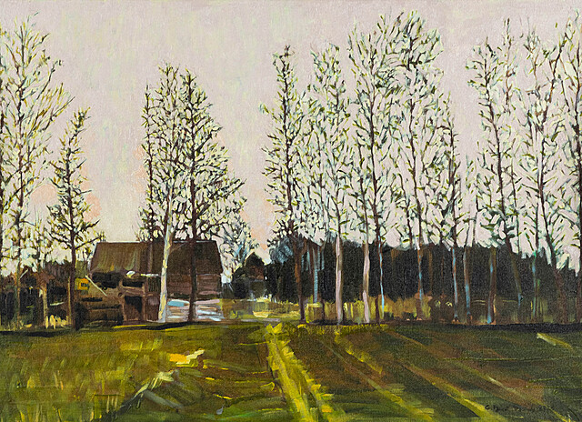 Pulsujące drzewa - pejzaż Pachole, 2025