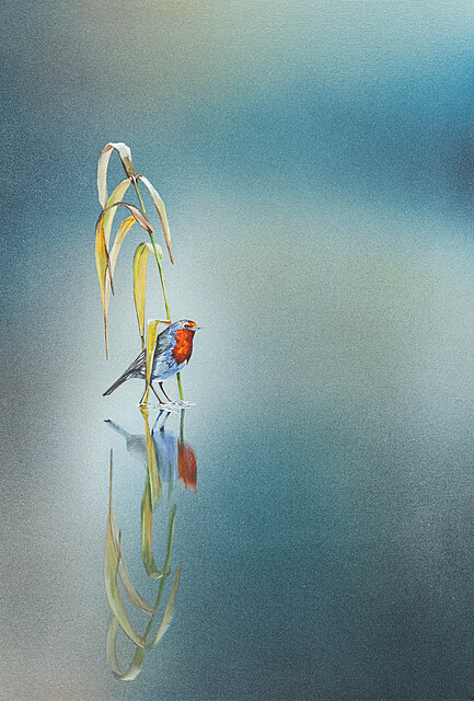 Rudzik i lustro wody, 2026