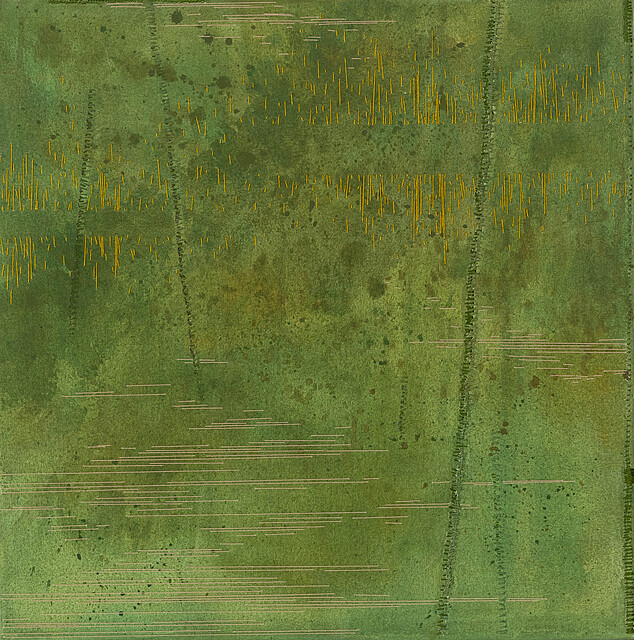 Dźwięk mokradła, 2025