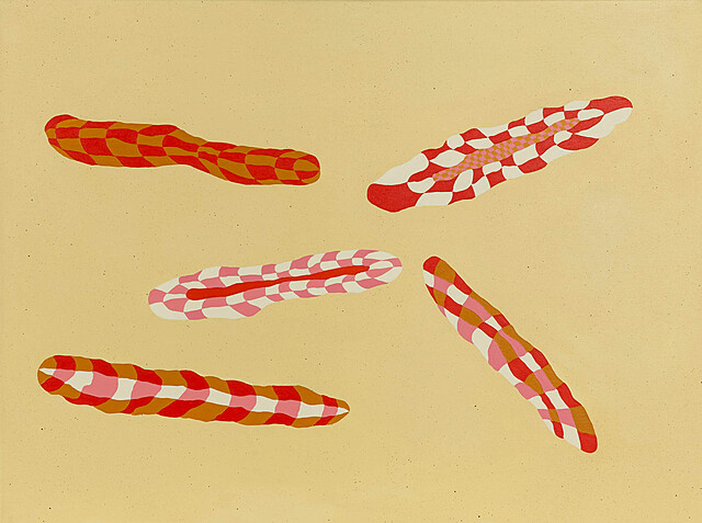 Ciałkowicie, 2024-2025