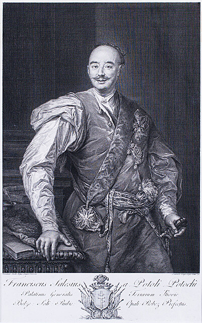 Portret Franciszka Salezego Potockiego, 1782