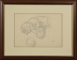 Kocie macierzyństwo