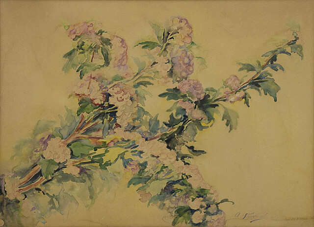 A. STARCZEWSKI, XX w.