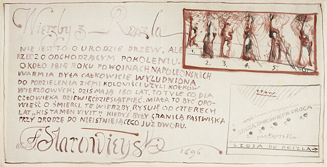 Wierzby z Reszla, 1996