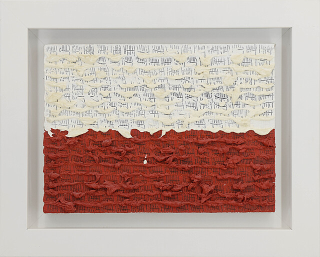 Polacy Formują Flagę Narodową, 2019