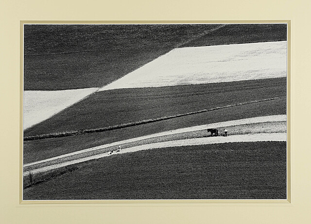 Geometria krajobrazowa