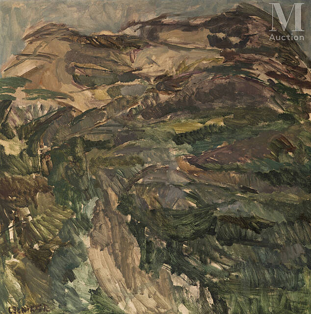 Krajobraz ze wzgórzami