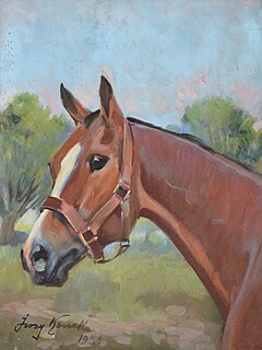 "Głowa gniadego konia", 1950