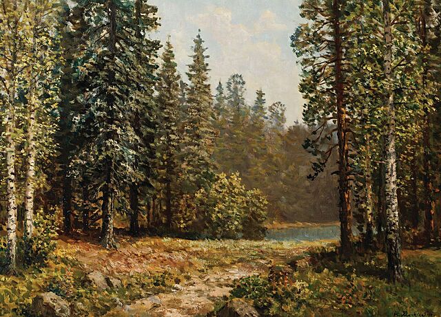 DROGA PRZEZ ŚWIERKI KU WODZIE