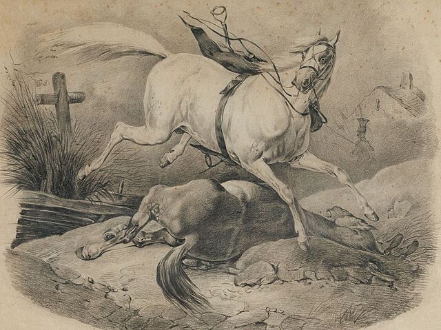 KONIE PIRENEJSKIE wg Victora Adama, 2 poł. XIX w.