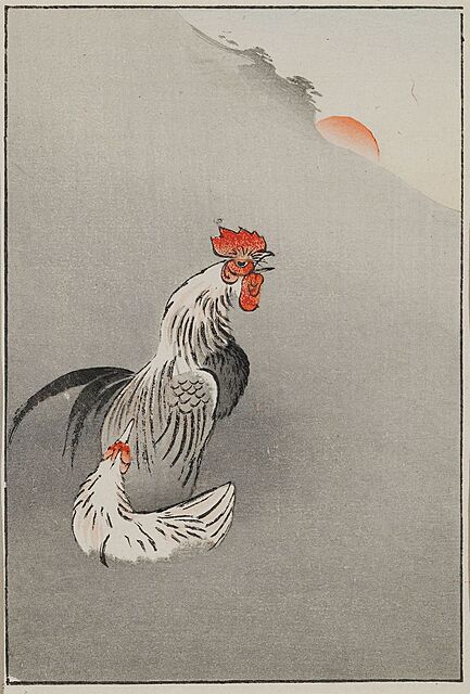 KOGUT I KURA O WSCHODZIE SŁOŃCA