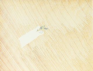 CCXXXV z cyklu "UNIVERSUM", 2004