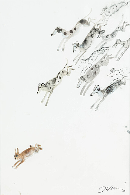 W pogoni za zającem