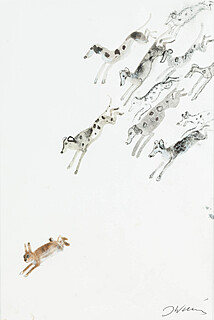 W pogoni za zającem