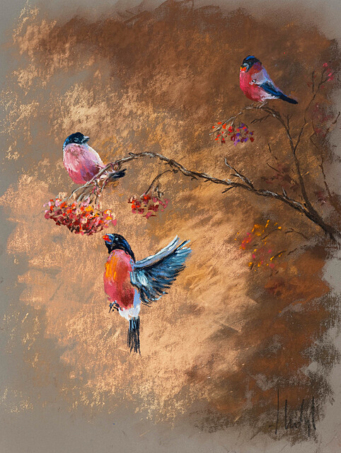 Gile na jarzębinie, 2025