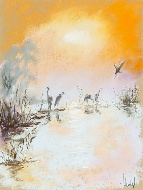 W krainie czapli, 2025