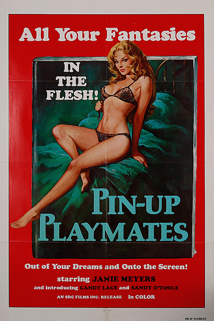 Pin-up Playmates, lata 70.