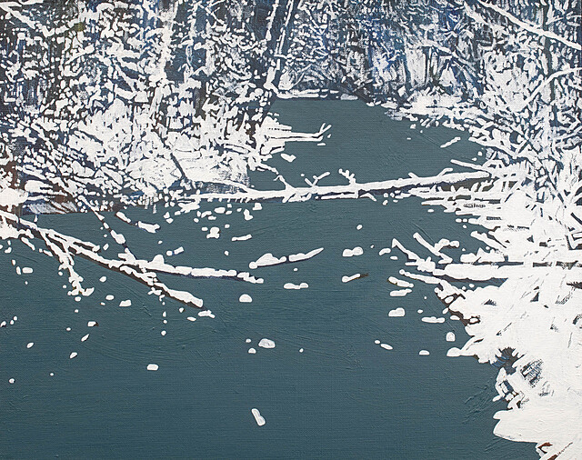 Śnieg 12 grudnia 09:47, 2011