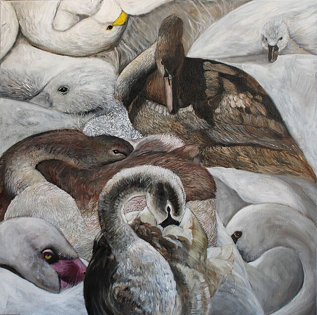 Cicha przystań, 2026