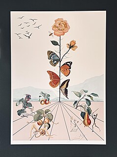 Flordali II, La Rose Papillon