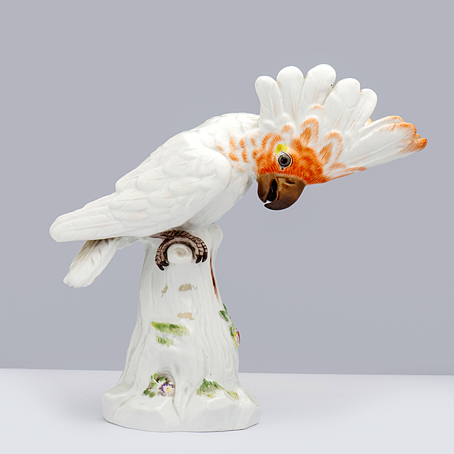 Kakadu, Manufaktura Porcelany w Miśni, wg modelu Johanna J. Kaendlera (1706-1775) z 1734 r.