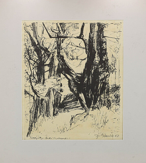 Szczyrk - Buki, 1967