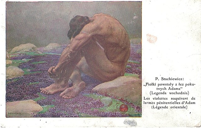 P. Stachiewicz: "Fiołki powstały z łez pokutnych Adama" (Legenda wschodnia)