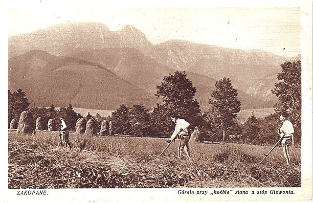 Zakopane. Górale przy "kośbie" siano u stóp Giewontu