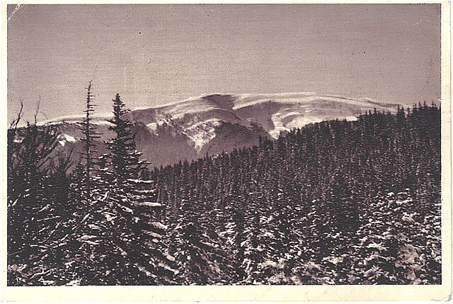 Karpaty Wschodnie. Gorgany Wschodnie: Syniak (wys. 1664 m.)