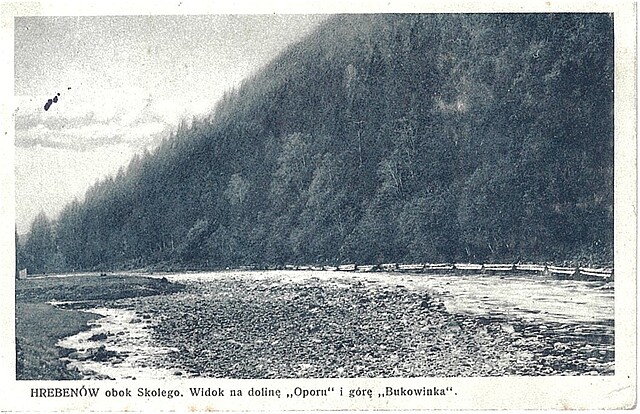 Hrebenów obok Skolego. Widok na dolinę "Oporu" i górę "Bukowinka"