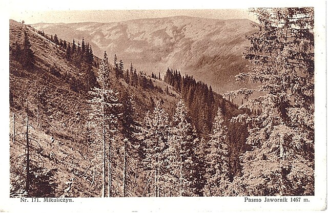 Nr. 171. Mikuliczyn. Pasmo Jawornik 1467 n.