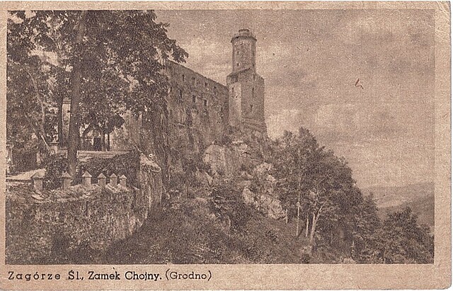 Zagórze Śl., Zamek Chojny. (Grodno)