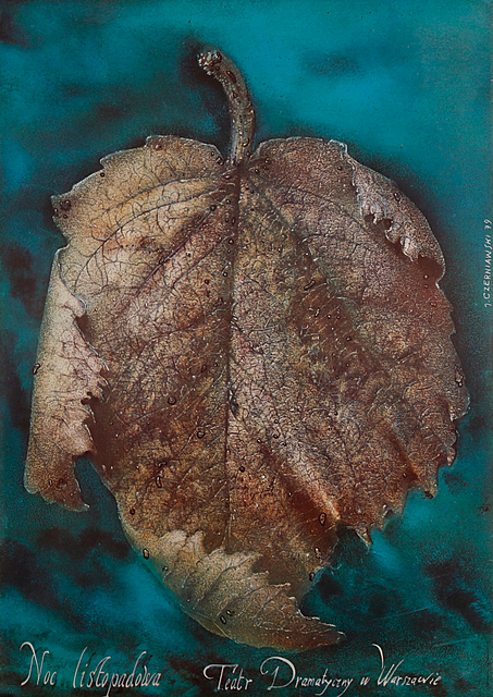 proj. Jerzy CZERNIAWSKI (ur. 1947)