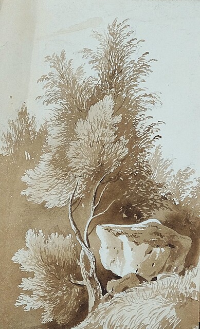 Pejzaż z drzewem i skałą