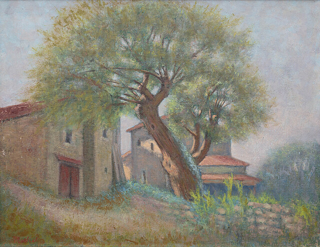 Arbre devant la ferme