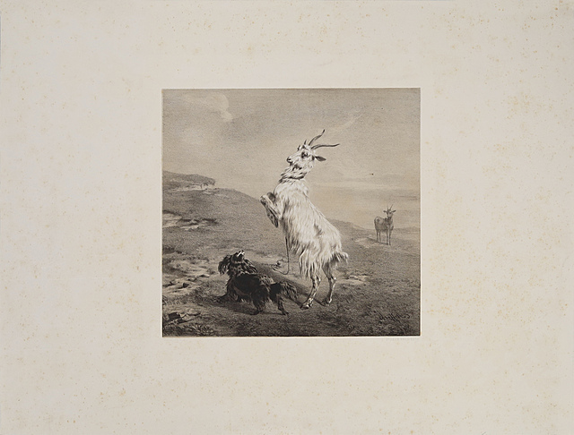 Zabawa koziołka z psem, ok. 1880