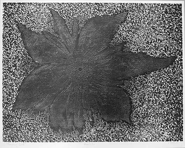 Słoneczny kwiat, 1996